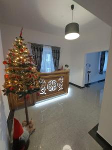 Białka TatrzanskaDziadkowiec的客厅中间的圣诞树