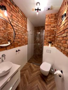弗罗茨瓦夫Brick Castle - Apartament Helga的一间带砖墙、卫生间和淋浴的浴室