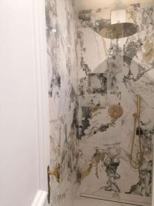 那慕尔Appartement Fernand Namur的一间设有大理石墙淋浴的浴室