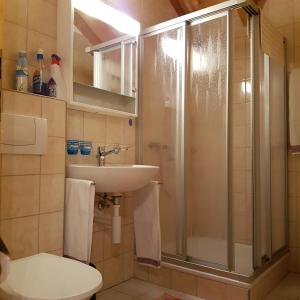 芙露姆赛山司切文迪霍夫酒店的带淋浴、盥洗盆和卫生间的浴室