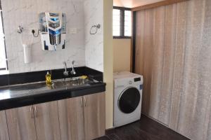 门格洛尔VENUS HOMES的厨房配有水槽和洗衣机