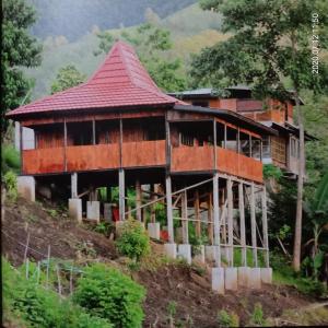 BajawaHome stay wolokoro ecotourism的山边的房子