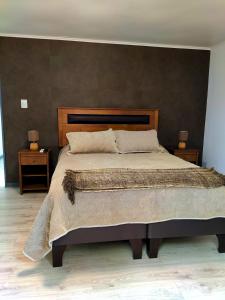 皮尔克Moderna Cabaña con tinaja caliente的一间卧室配有一张带2个床头柜的大床