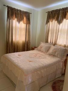基督教堂市Sasha’s Holiday Home Oistins Barbados的一间卧室配有一张带窗帘的大床
