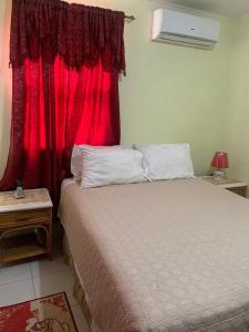 基督教堂市Sasha’s Holiday Home Oistins Barbados的一间卧室配有一张红色窗户的床