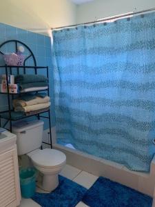 基督教堂市Sasha’s Holiday Home Oistins Barbados的浴室配有蓝色的浴帘和卫生间