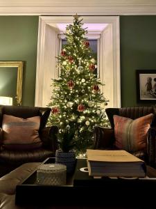 安格斯Large Holiday Home perfect for family gatherings的客厅里有一棵圣诞树,配有沙发
