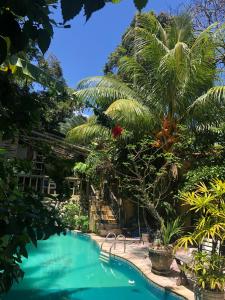 奥林达Pousada São Pedro的棕榈树花园中的游泳池