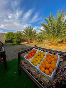 欧拉Almazham holiday house的桌子上放着橙子和其他水果的托盘
