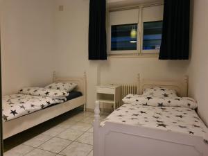 洛迦诺Renovierte Ferienwohnung im Zentrum von Locarno的一间卧室设有两张床和窗户。