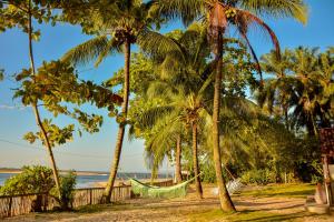 伊尔哈德博伊巴Pousada Vila Palma Boipeba的海滩上棕榈树之间的吊床