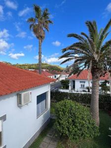 奥尔塔Casa das Palmeiras - Res. of Elizabete and Fatima的两棵棕榈树和一座白色的房子,屋顶红色