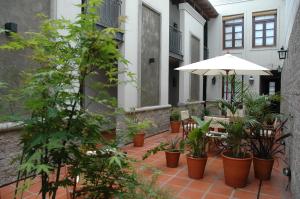 布宜诺斯艾利斯波萨达高登酒店的一个带遮阳伞、椅子和盆栽的庭院