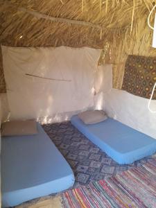 ‘Izbat ŢanāţīHidigda Camp的茅草帐篷内带两张床的房间