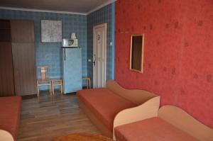 希奥利艾Chernobyl type rooms in a block flat house的带沙发的客厅和厨房