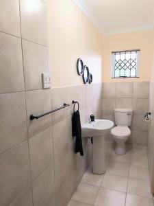 InandaEzweni Lodge的一间带卫生间和水槽的浴室