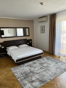 克卢日-纳波卡Pensiunea Max的一间卧室配有一张大床和地毯。
