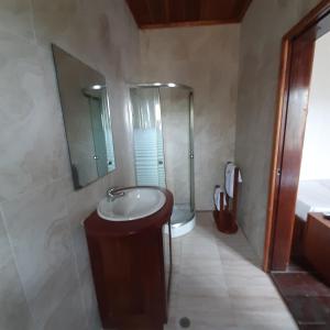 圣多美Ocean View Guesthouse的一间带水槽、淋浴和卫生间的浴室