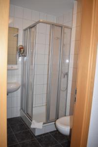 东贝沃恩Hotel Alte Post Ostbevern的带淋浴、卫生间和盥洗盆的浴室