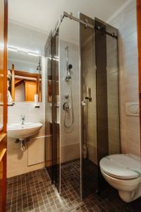 锡比乌Boutique Damiani的带淋浴、卫生间和盥洗盆的浴室