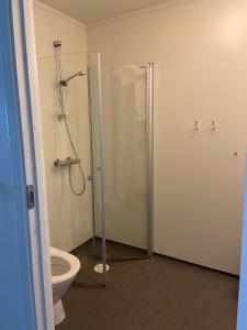莫尔德莫尔德凡德赫姆旅舍的一间带卫生间和淋浴间的浴室