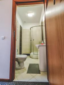 格涅夫Hotel Na Wzgórzu的浴室配有卫生间、盥洗盆和淋浴。