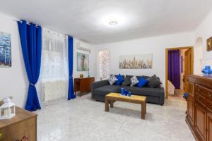 马德里Apartamento Casa de Campo的客厅配有蓝色窗帘和沙发