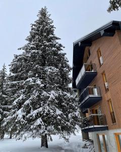 奥拉弗斯卡雷斯纳Apartmán Snow的一座建筑物前的松树