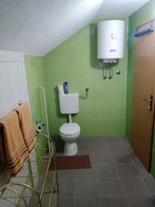 拉克塔希Blossom Cottage的一间带卫生间和绿色墙壁的浴室