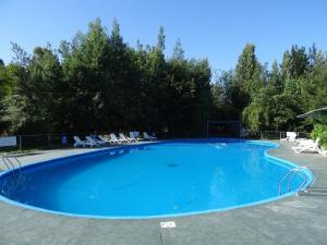 El ManzanoCabañas Parque Salto del Laja的一个带椅子和树木的大型蓝色游泳池