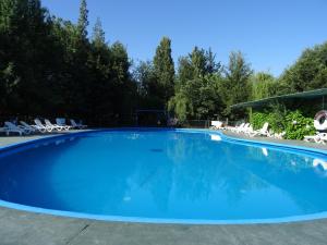 El ManzanoCabañas Parque Salto del Laja的一个带椅子和树木的大型蓝色游泳池