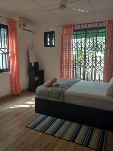 阿克拉Beautiful House Spintex Road Accra的一间卧室设有一张床和一个大窗户