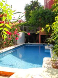 伊维萨镇Navila Palmera的一座鲜花庭院里的大型蓝色游泳池