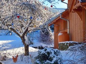 圣玛丽欧米讷Le Rucher de St Pierre的一座建筑物旁的雪覆盖着的树