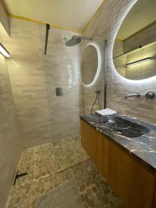 奥斯坦德Logies Windsor One Room的一间带水槽和镜子的浴室