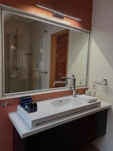 利耶帕亚Boutique Guest House的一间带水槽和大镜子的浴室