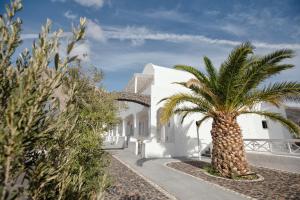 佩里萨Aspro Phos Santorini Hotel的白色建筑前的棕榈树