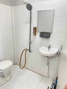 瓜拉丁加奴Nipah River View Bajet Hotel的一间带卫生间、水槽和镜子的浴室