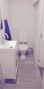 罗托鲁瓦Modest comfortable relaxed home away from home的白色的浴室设有卫生间和水槽。