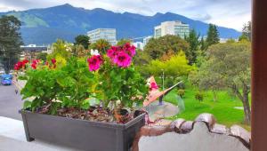 基多Hotel Inti Quito的花盆坐在窗台上,花席上