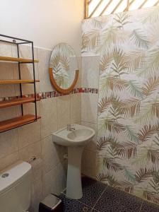 塔拉波托Bijao Hostel的一间带水槽、卫生间和镜子的浴室