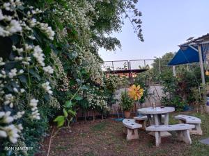 清迈Ban Maitree的在鲜花盛开的花园内野餐桌和长椅