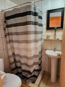 圣佩德罗·德·阿塔卡马Las Casas Hostel Atacama的浴室配有淋浴帘和盥洗盆。