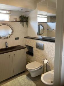 ZevenhuizenThe Little House by the Rottemeren的浴室配有白色卫生间和盥洗盆。