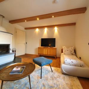 蒂罗尔州奥伯恩多夫莱纳度假屋酒店的带沙发、桌子和电视的客厅