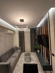 雅西ATH Modern Homes - Luxury Apartment in the City Center的带沙发和电视的客厅