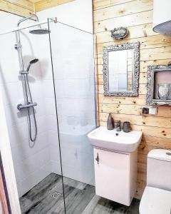奇普Czarne Domki Chłopy的带淋浴、卫生间和盥洗盆的浴室