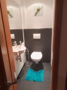 GrinsHaus Hotz Apart Talblick的浴室配有白色卫生间和盥洗盆。