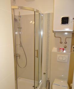 兹拉蒂博尔波希米亚中心别墅的设有带卫生间的浴室内的淋浴间