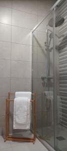 奥德赛克斯SulSeixe Guesthouse的带淋浴的浴室内的毛巾架